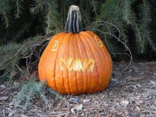 Triangle, Nipomo Pumpkin Patch best carving idea